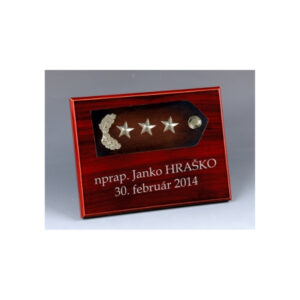 P005 - Nadpráporčík