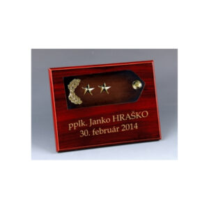 P011 - Podplukovník